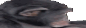 wideapeJam emote
