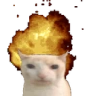CATEXPLODE emote
