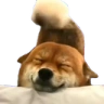 happyDog emote