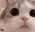 Emote