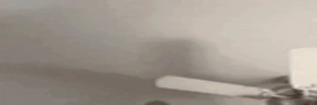 catPUNCH emote