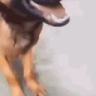 Smelly emote