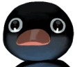 Staregu emote