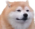 Dog emote