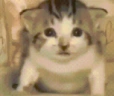 3ElD emote