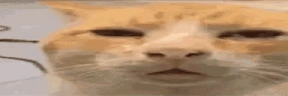 huh emote