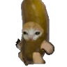 Picklecatrun emote