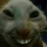 xdddddd emote