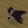 BREAKDANCECAT emote