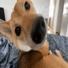 AutismCheck emote