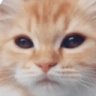 catYawn emote