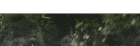 ROTK emote