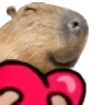capyL emote