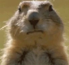 So emote