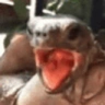 WHAAAAT emote