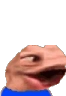 PaggiFlip emote