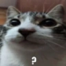 ??? emote