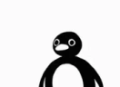 nootnoot emote