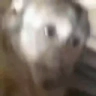 monoRisa emote