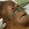 Winnable emote