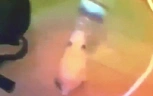 hamsterJAM emote