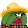 peepoScared emote