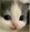 KEKW