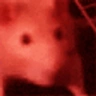 HyperRatJam emote