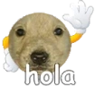 perrohola emote
