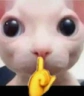 SHHH emote
