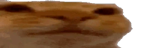 WideAwkward emote