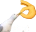 shutbird