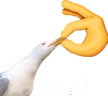 shutbird emote