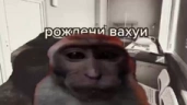 VAHUE emote