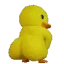 duckass