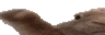 wideVibe