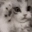Emote