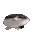 wawa