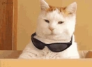 watti emote