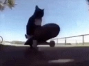 Spin emote