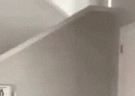 Stealth emote