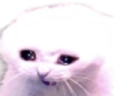 Pissby emote