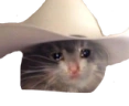 PartnerIReckonIAintBeenFeelingVeryYeehawLately emote
