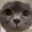 Emote