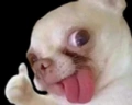 belezA emote