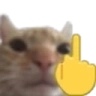 catfinger emote