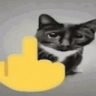 FKU emote