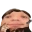 Saulime