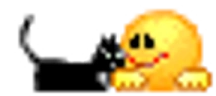 kotek emote