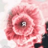 YAFANATZXCURSED emote